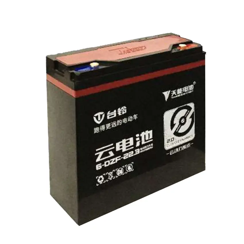 TianNeng 12V45AH Batería de plomo acido